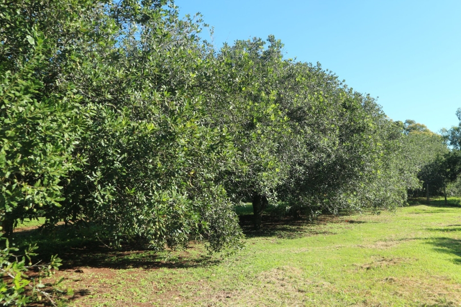  Bedroom Property for Sale in East London Rural Eastern Cape